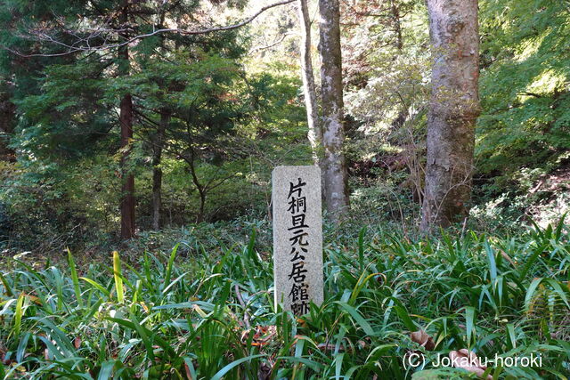 近江 須賀谷館の写真