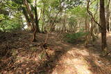 近江 須川山砦の写真