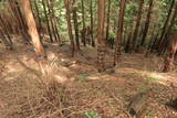 近江 須川山砦の写真