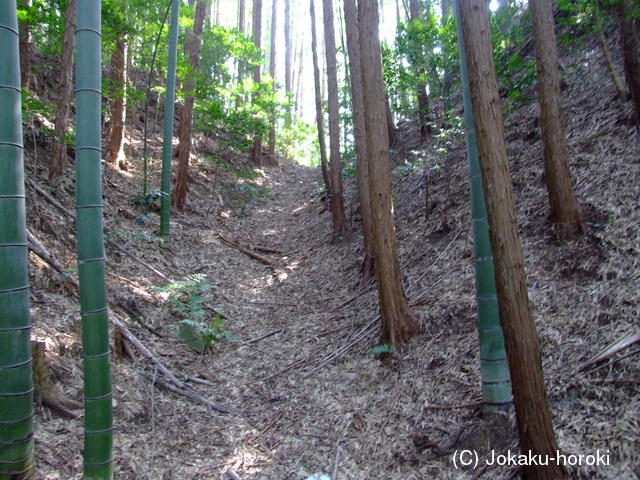 近江 杉谷砦の写真