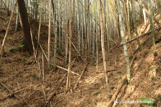 近江 水茎岡山城の写真