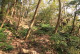 近江 水茎岡山城の写真