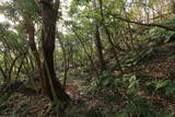 近江 水茎岡山城の写真