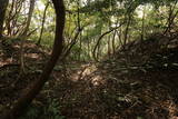 近江 水茎岡山城の写真