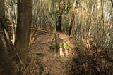 近江 水茎岡山城の写真