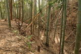 近江 水茎岡山城の写真