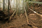 近江 水茎岡山城の写真