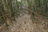 近江 水茎岡山城の写真