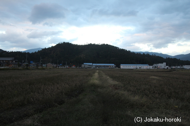 近江 田部山城の写真