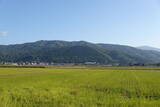 近江 田上山城の写真