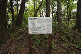 近江 田上山砦の写真