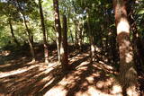 近江 田上山城の写真