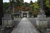 近江 田上山城の写真