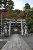 近江 田上山城の写真