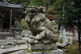 近江 田上山城の写真