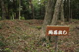 近江 田上山城の写真