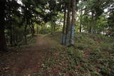 近江 田上山城の写真