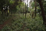 近江 田上山城の写真