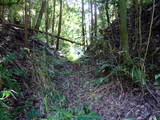 近江 多喜北城の写真
