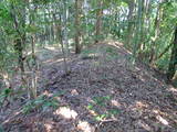 近江 多喜北城の写真