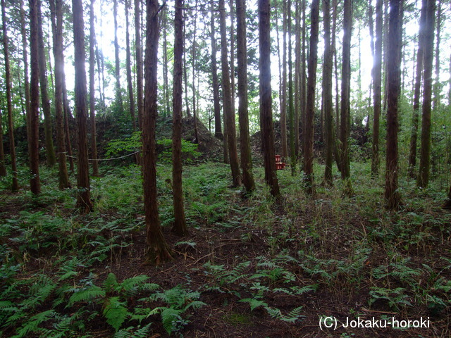 近江 滝川城の写真