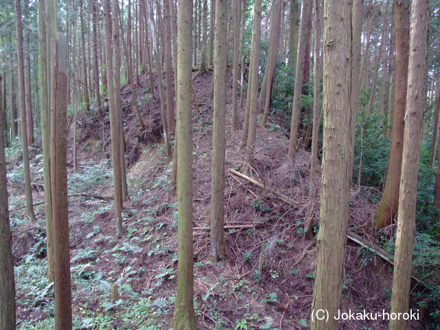 近江 滝川西城の写真