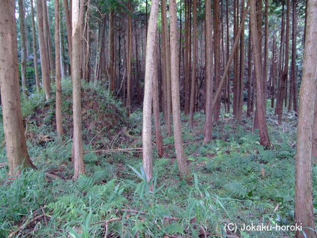 近江 滝川支城の写真