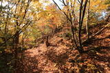 近江 多喜山城の写真