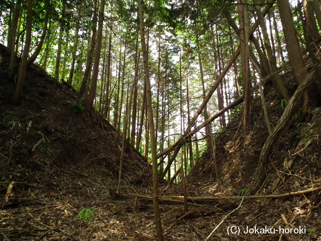 近江 多羅尾城山城の写真