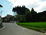 近江 多羅尾城山城の写真