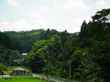 近江 多羅尾城山城の写真
