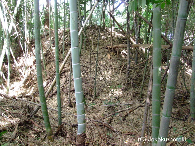 近江 徳昌寺の写真