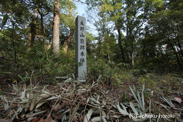 近江 東野山城の写真