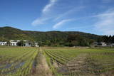 近江 東野山城の写真