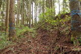 近江 東野山城の写真