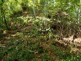 近江 虎御前山城の写真