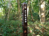 近江 虎御前山城の写真