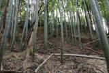 近江 鳥居平城の写真