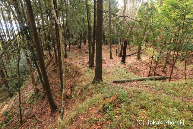 近江 土山城の写真