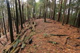 近江 土山城の写真