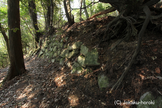 近江 宇佐山城の写真