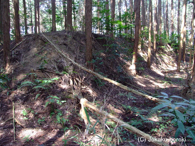 近江 和田城の写真