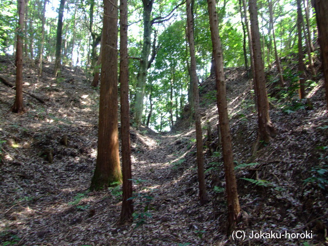 近江 和田支城IIの写真