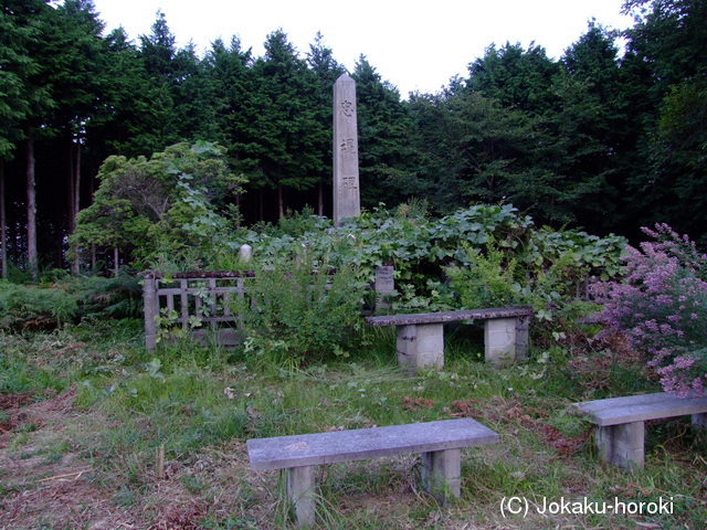 近江 殿山城の写真