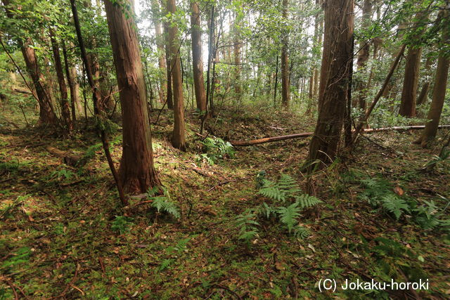 近江 和田山城の写真