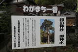 近江 和田山城の写真