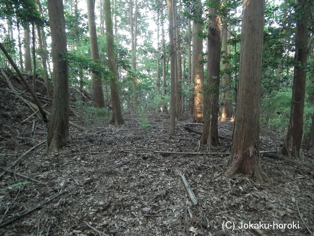 近江 山上城IIの写真