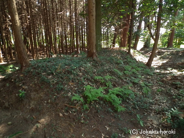 近江 山本神社遺跡の写真