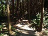 近江 山本神社遺跡の写真