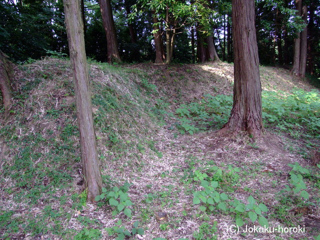 近江 山岡城の写真